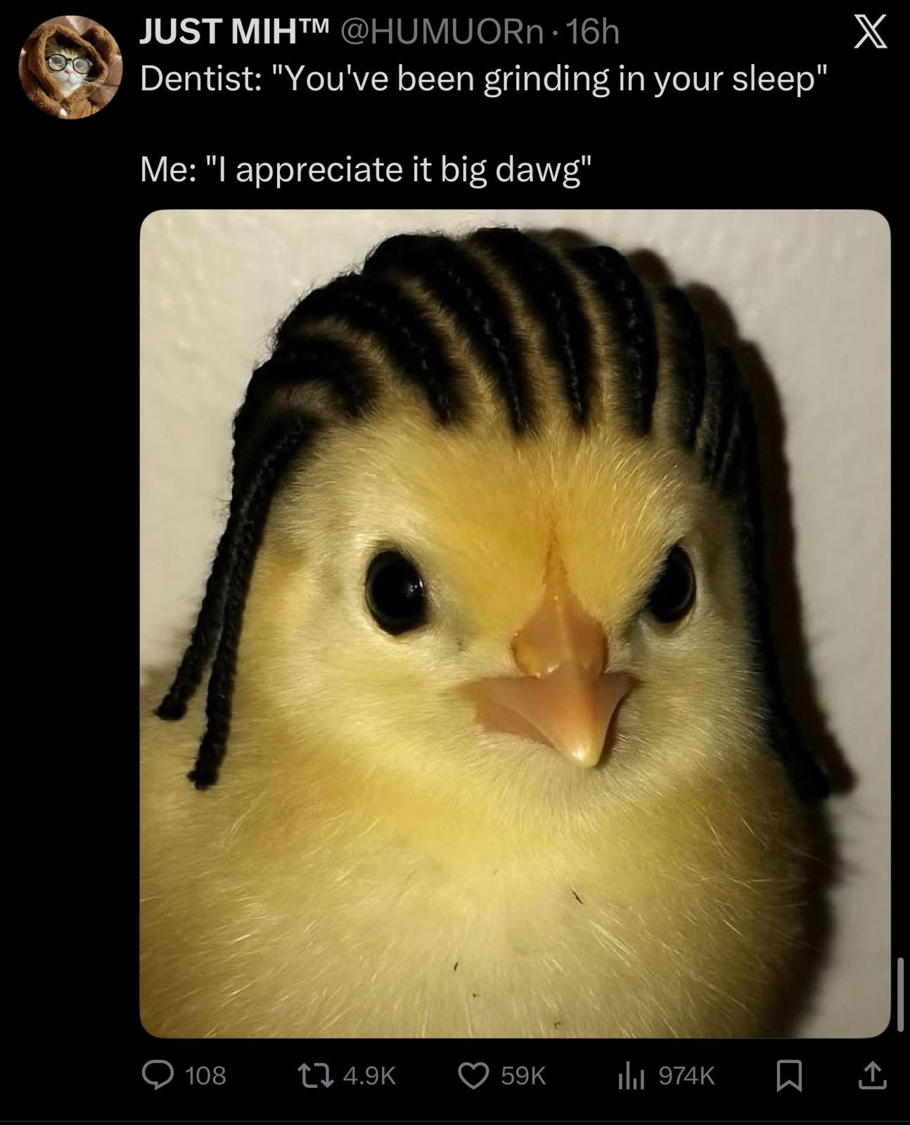 WhatsApp Image 2026-01-05 at 2.43.32 AM.jpeg